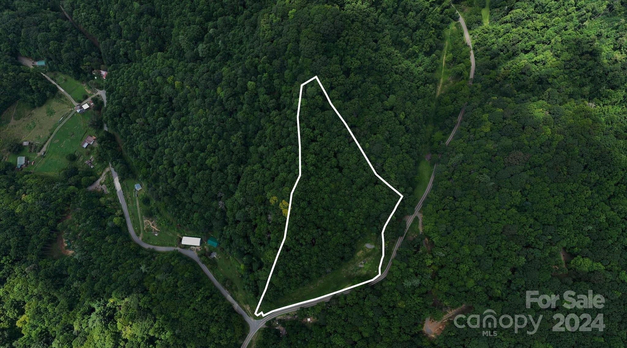 Tbd Patsy Crk Road Burnsville, NC 28714 - Photo 4 of 26