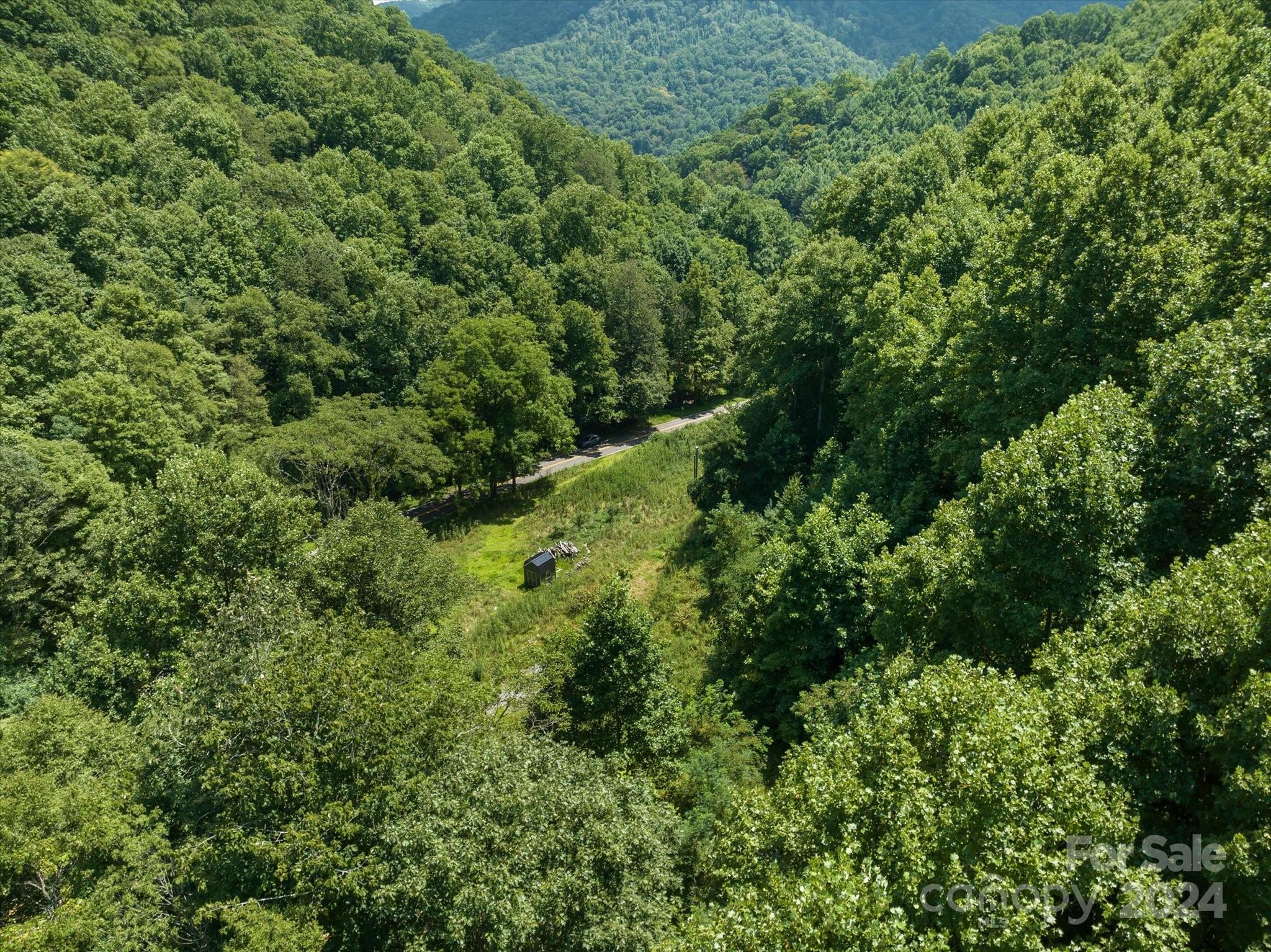 Tbd Patsy Crk Road Burnsville, NC 28714 - Photo 5 of 26