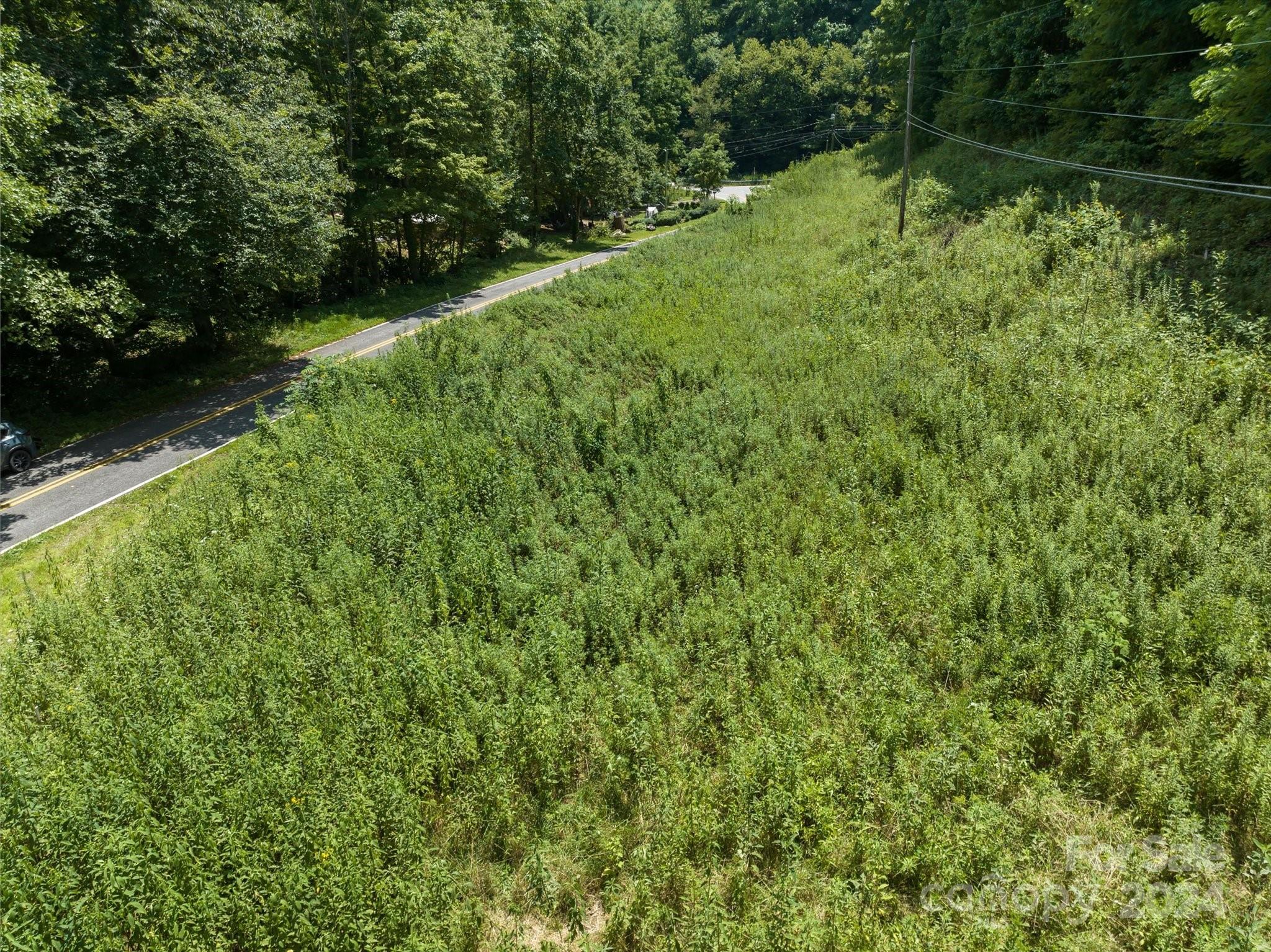 Tbd Patsy Crk Road Burnsville, NC 28714 - Photo 8 of 26