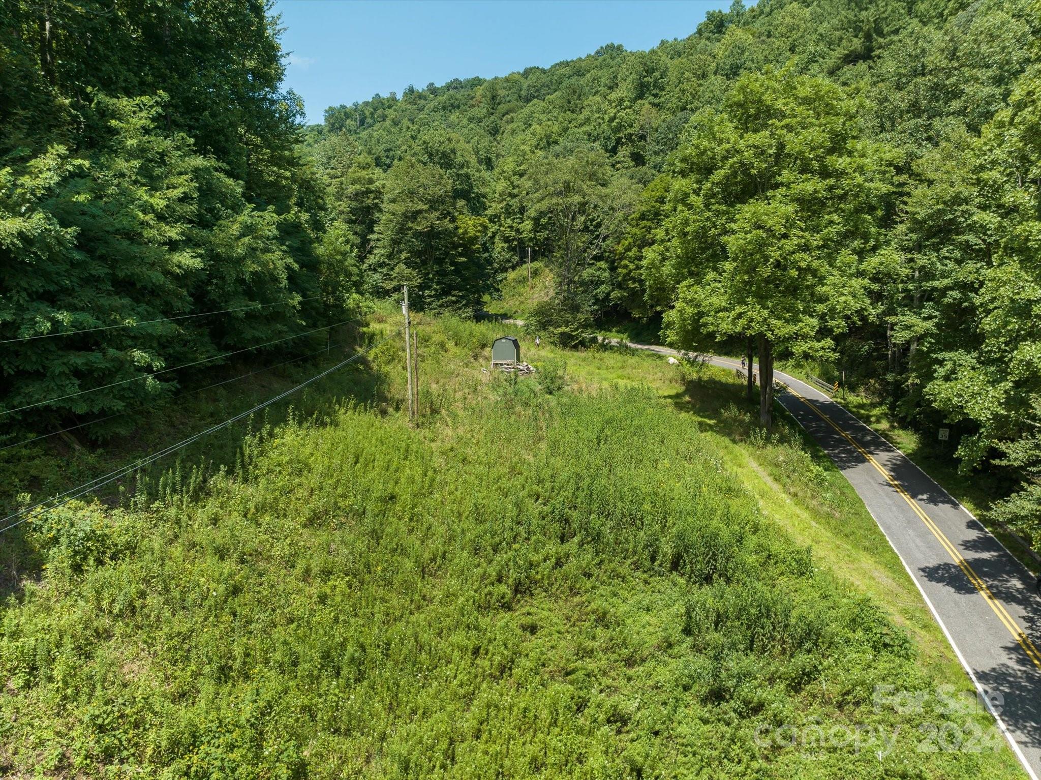 Tbd Patsy Crk Road Burnsville, NC 28714 - Photo 9 of 26