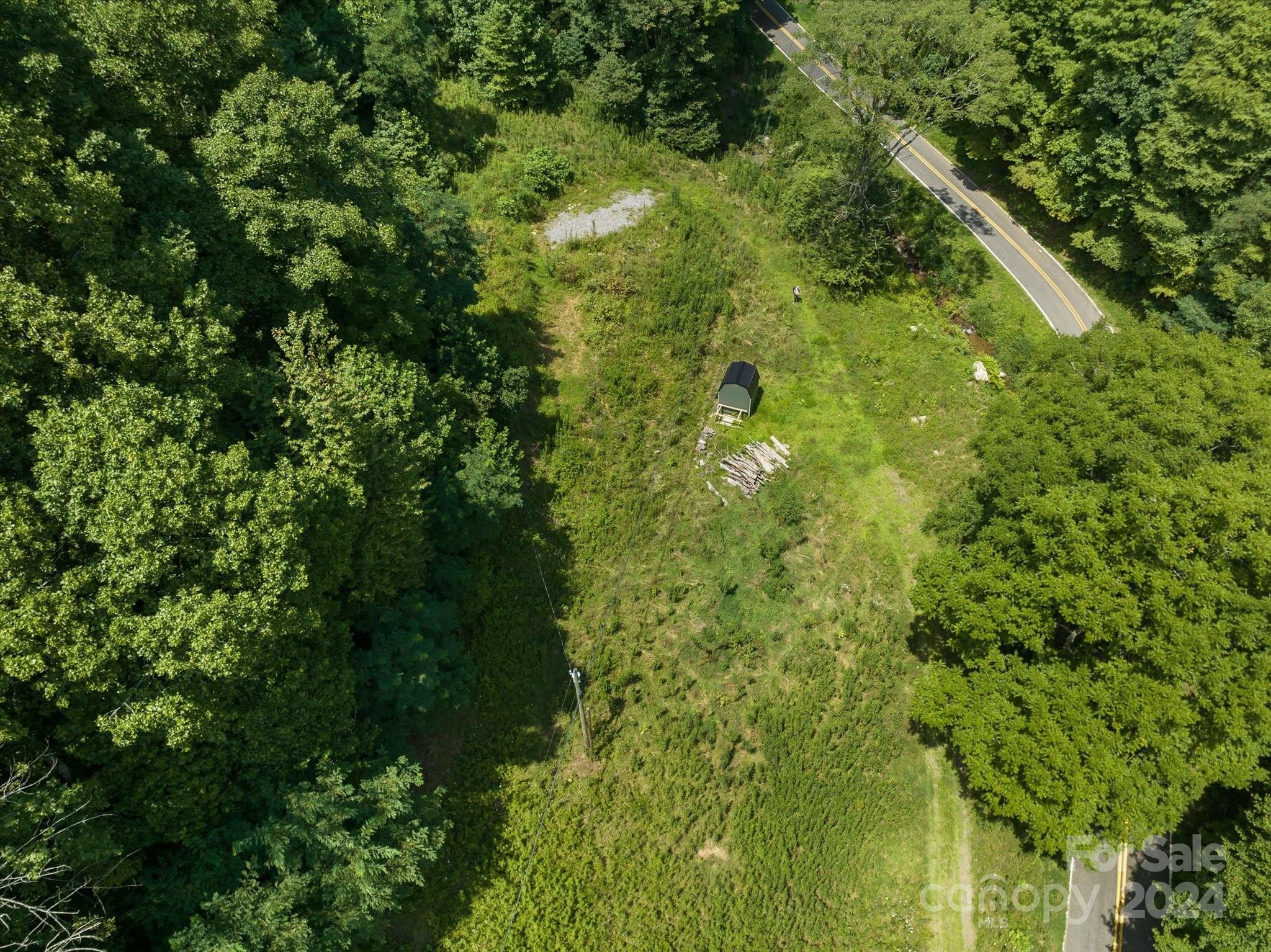 Tbd Patsy Crk Road Burnsville, NC 28714 - Photo 10 of 26