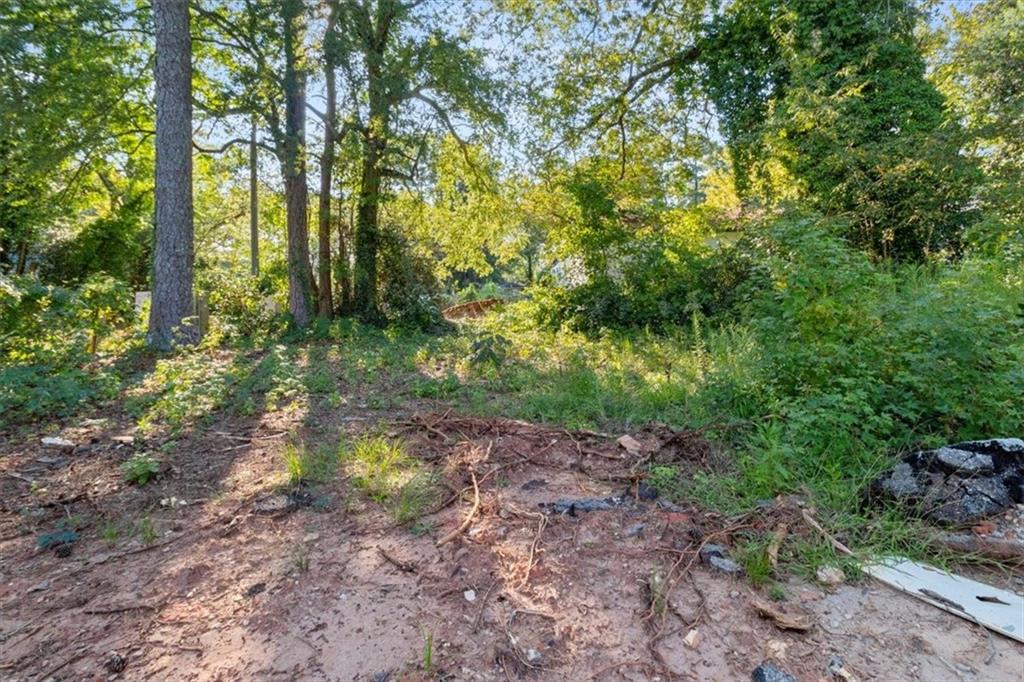 1347 Westmont Road Southwest Atlanta, GA 30311 - Photo 19 of 26 a backyard of a house with lots of green space