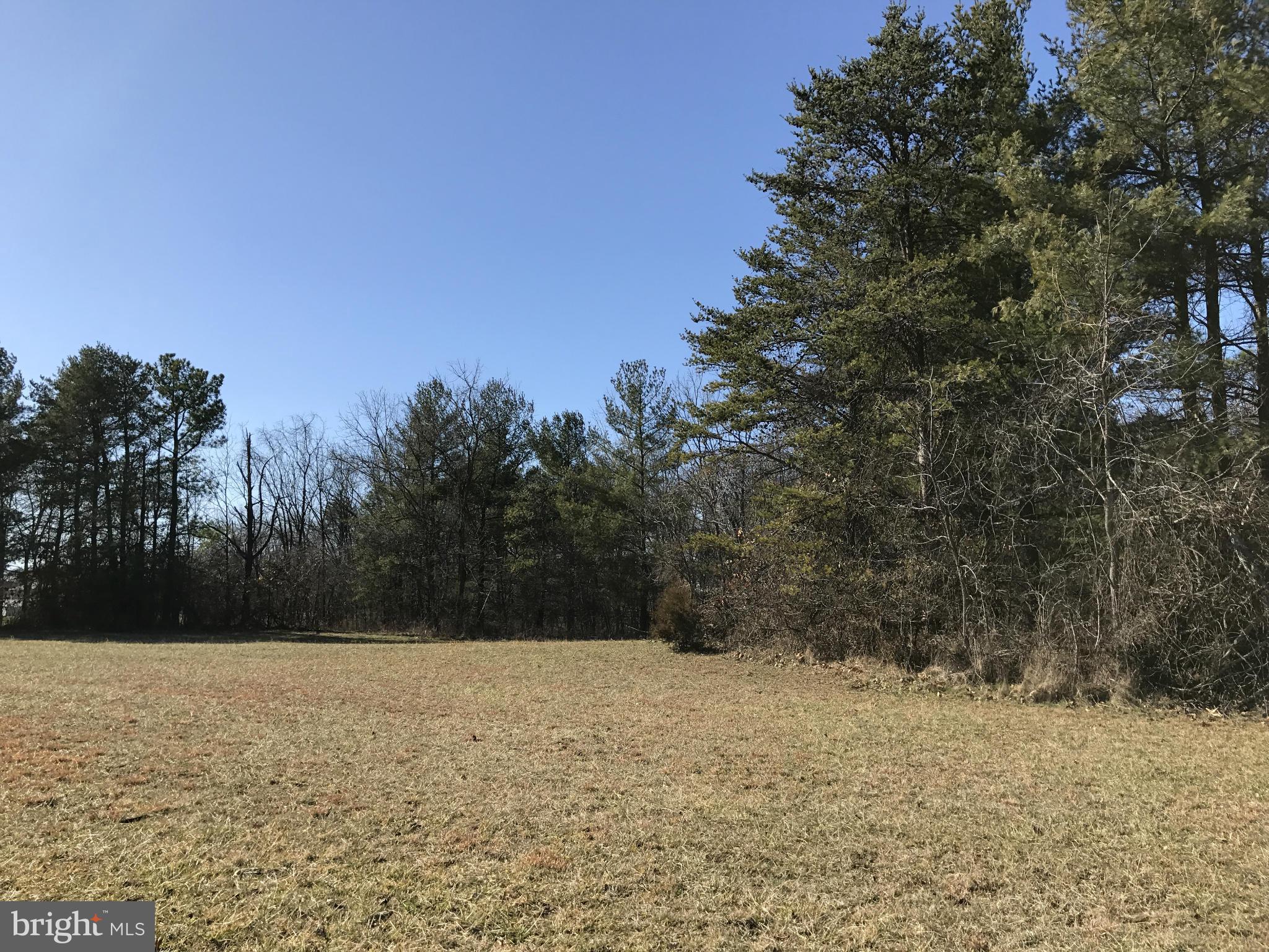 0 Cather Road Berryville, VA 22611 - Photo 1 of 25 Exterior (General)