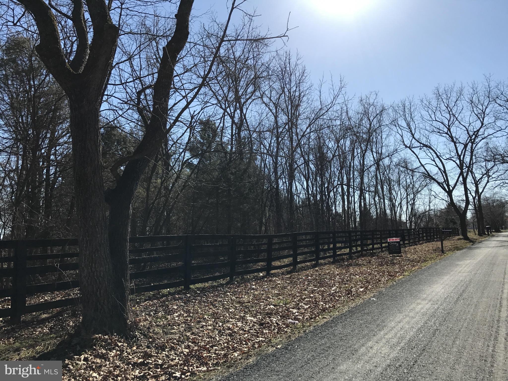 0 Cather Road Berryville, VA 22611 - Photo 13 of 25 Exterior (General)
