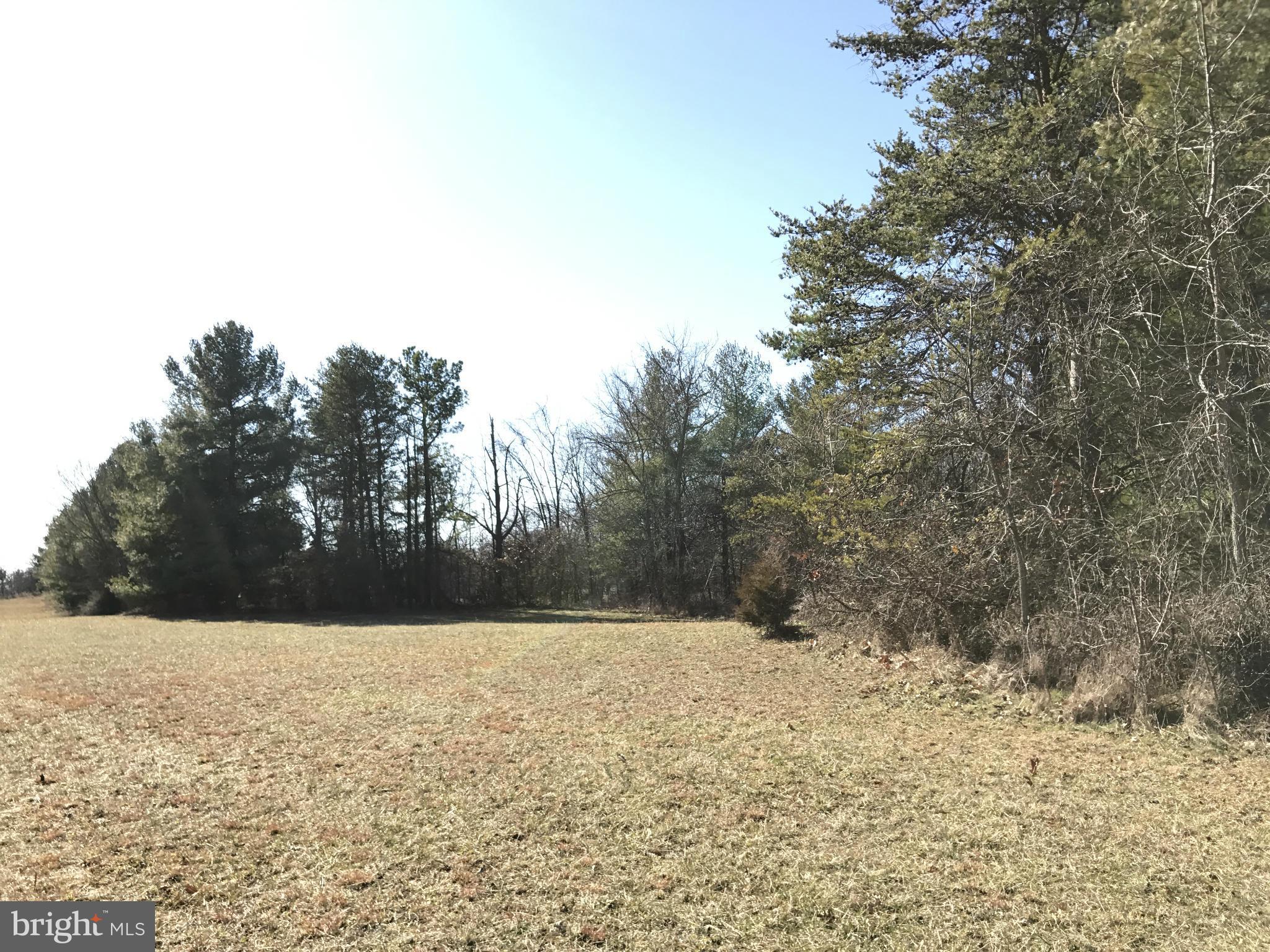 0 Cather Road Berryville, VA 22611 - Photo 14 of 25 Exterior (General)