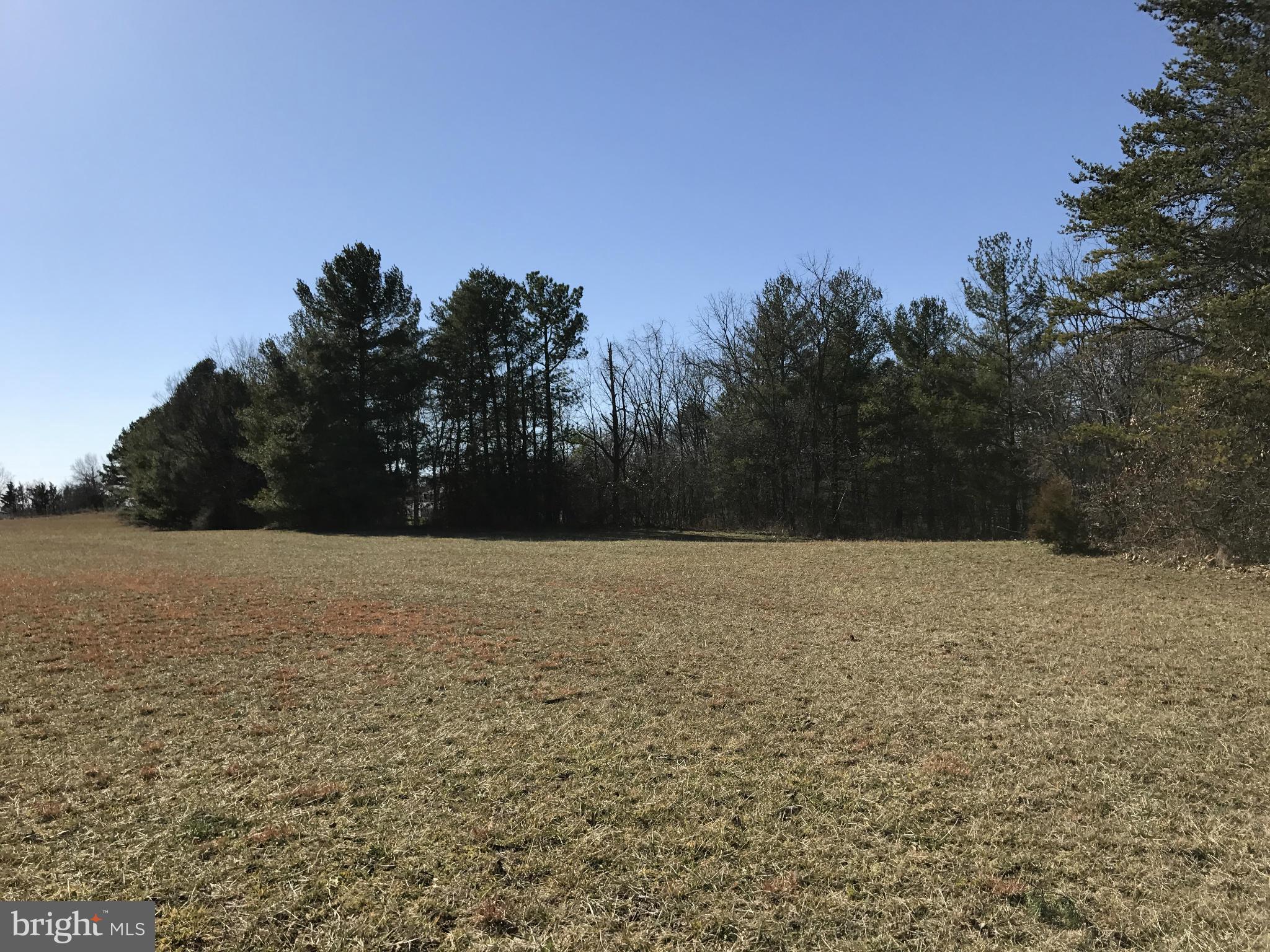 0 Cather Road Berryville, VA 22611 - Photo 15 of 25 Exterior (General)