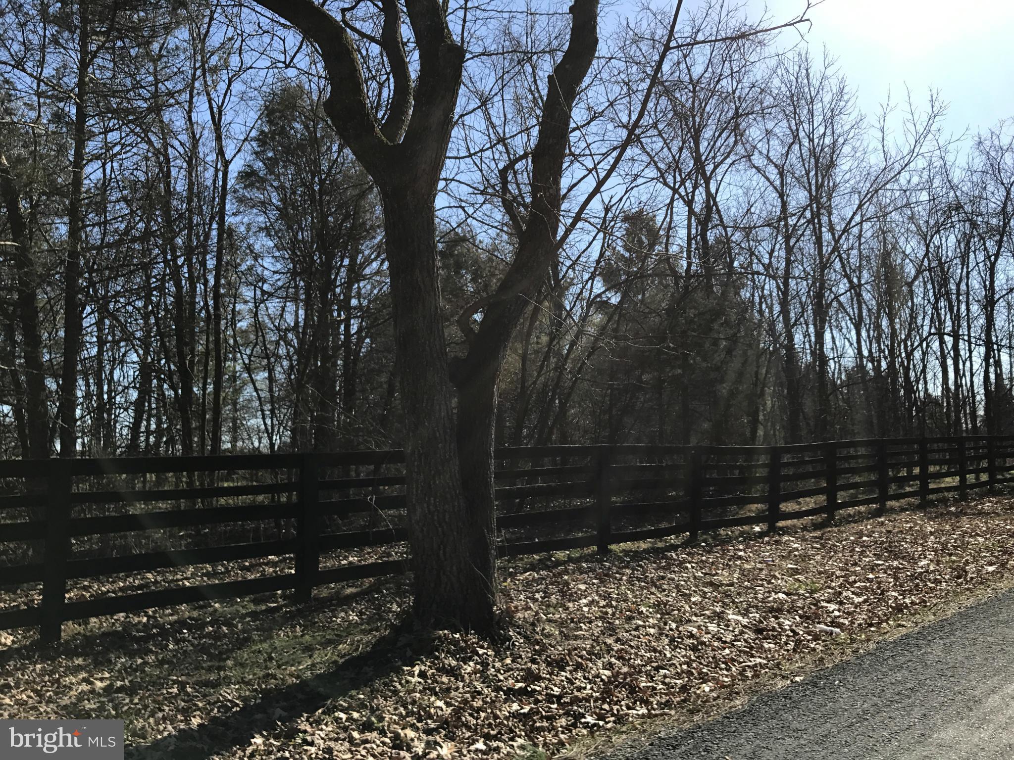 0 Cather Road Berryville, VA 22611 - Photo 18 of 25 Exterior (General)