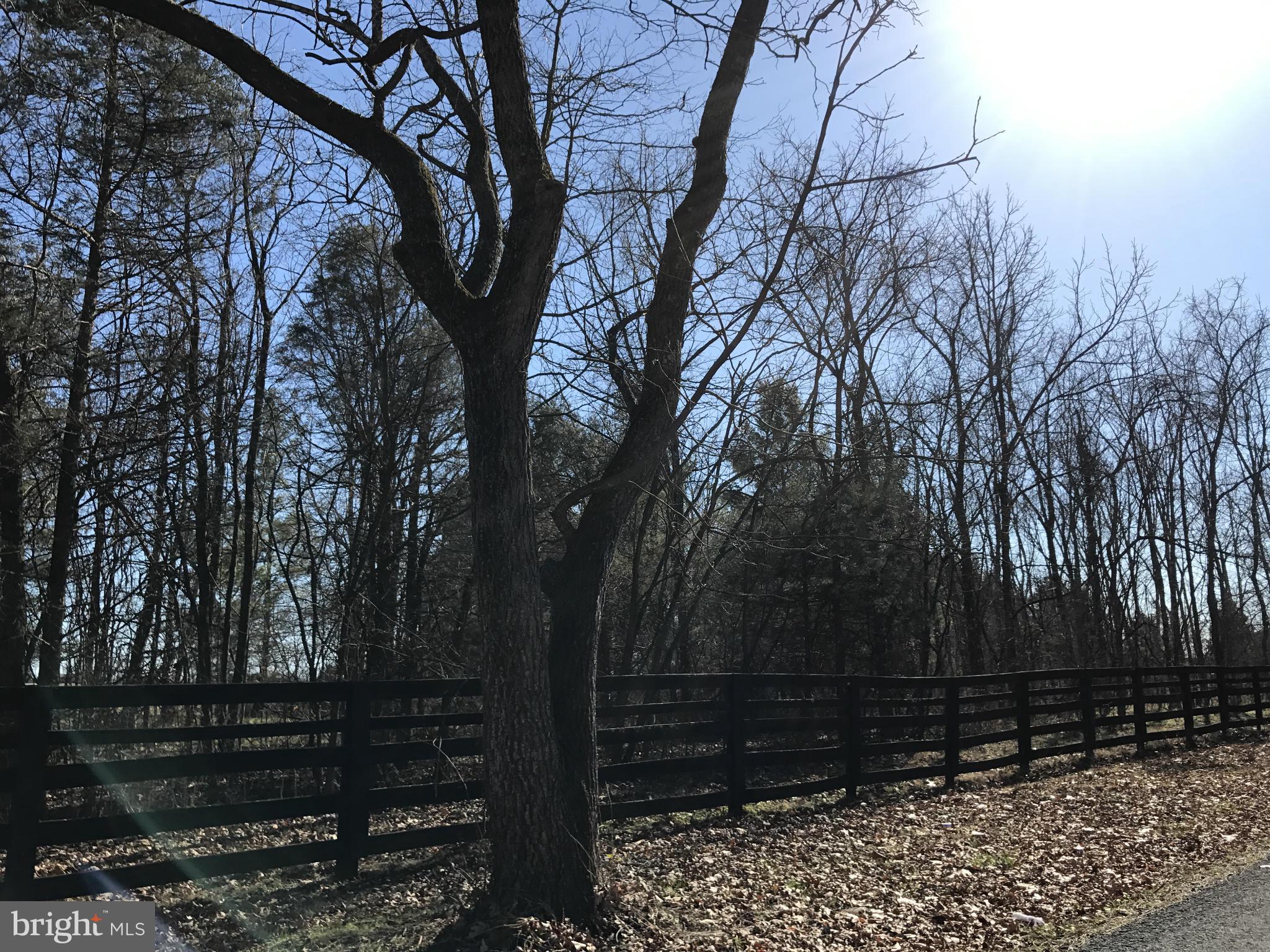 0 Cather Road Berryville, VA 22611 - Photo 3 of 25 Exterior (General)