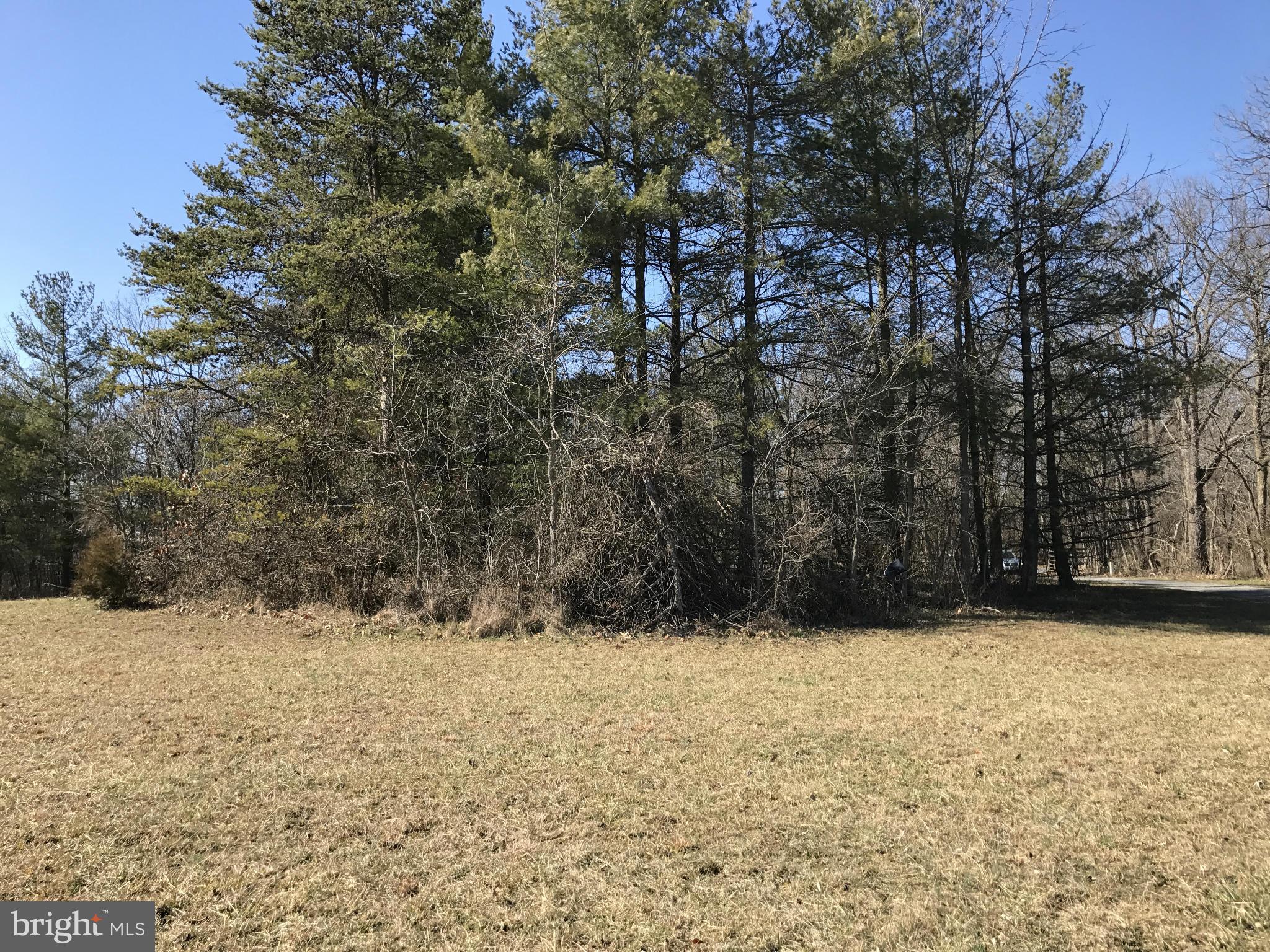 0 Cather Road Berryville, VA 22611 - Photo 21 of 25 Exterior (General)
