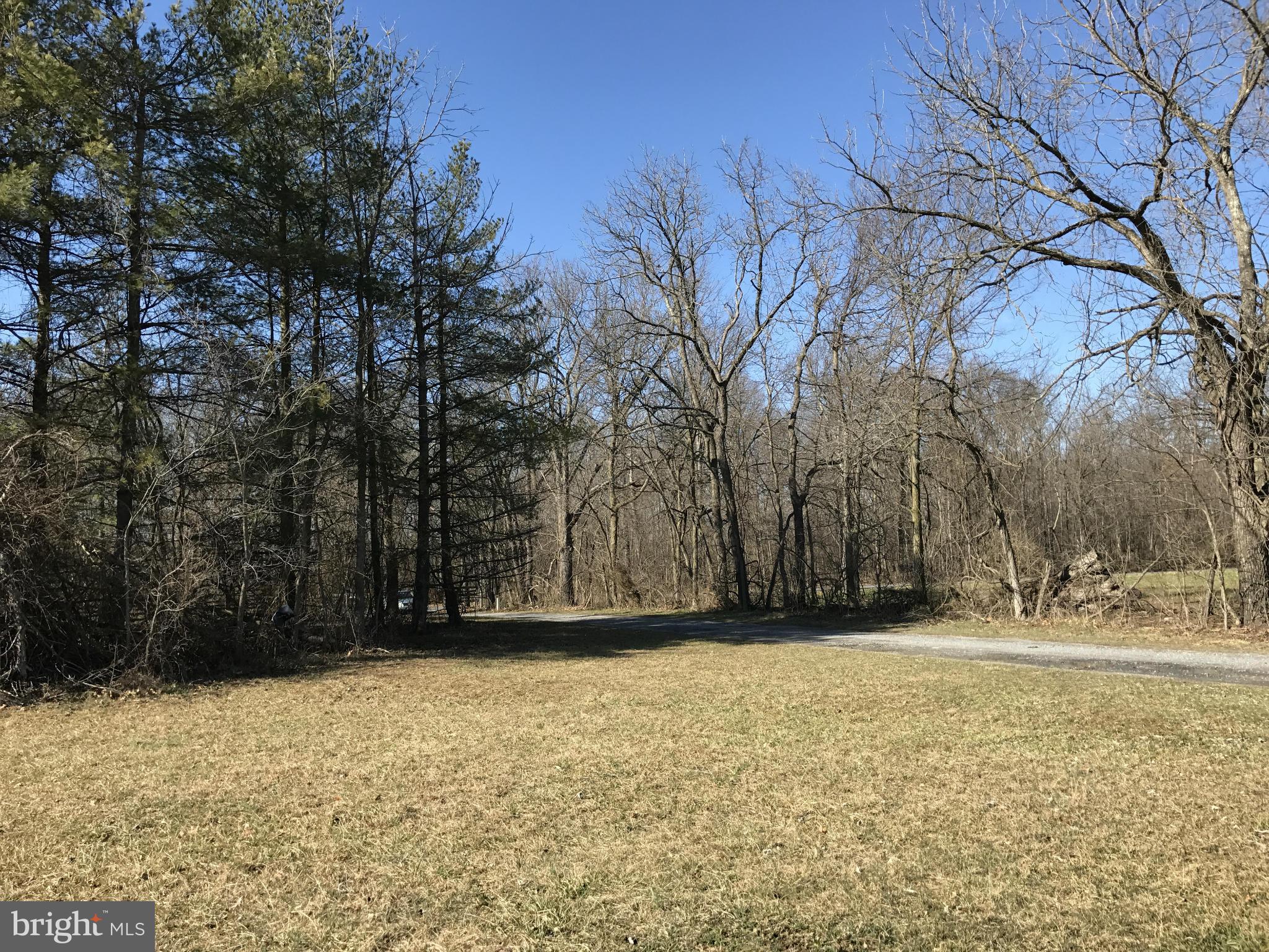 0 Cather Road Berryville, VA 22611 - Photo 22 of 25 Exterior (General)