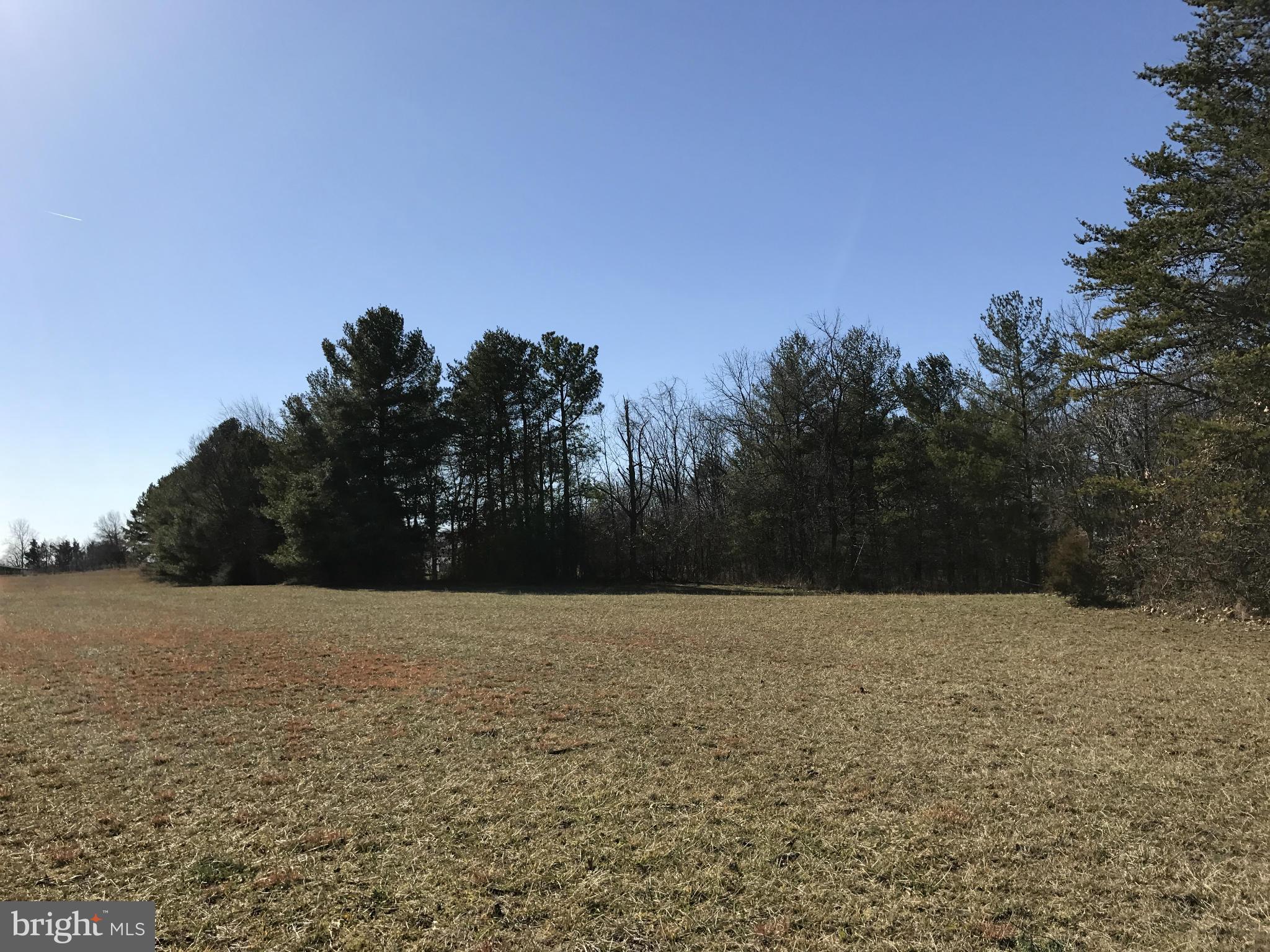 0 Cather Road Berryville, VA 22611 - Photo 23 of 25 Exterior (General)