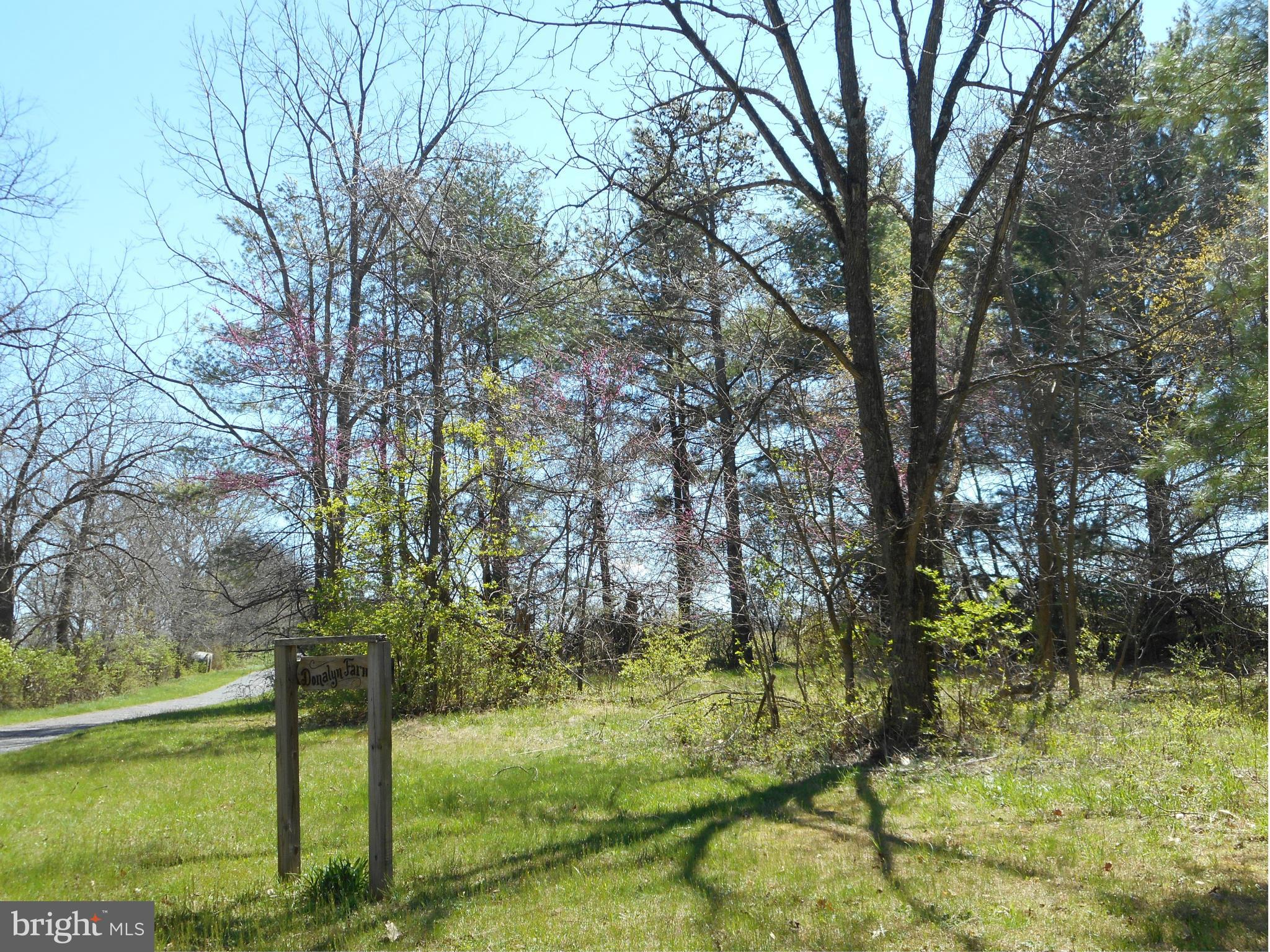0 Cather Road Berryville, VA 22611 - Photo 4 of 25 Exterior (General)