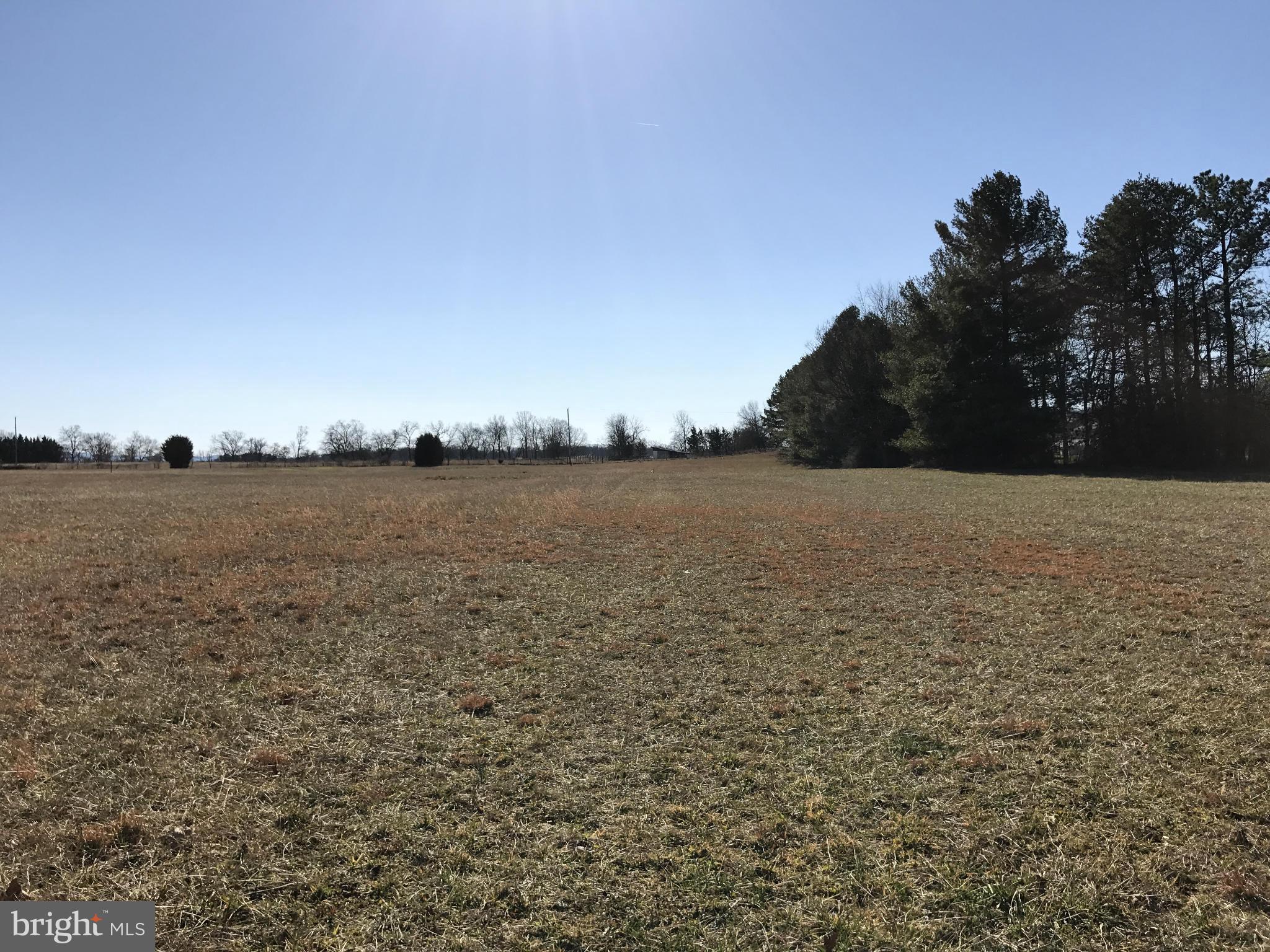 0 Cather Road Berryville, VA 22611 - Photo 7 of 25 Exterior (General)