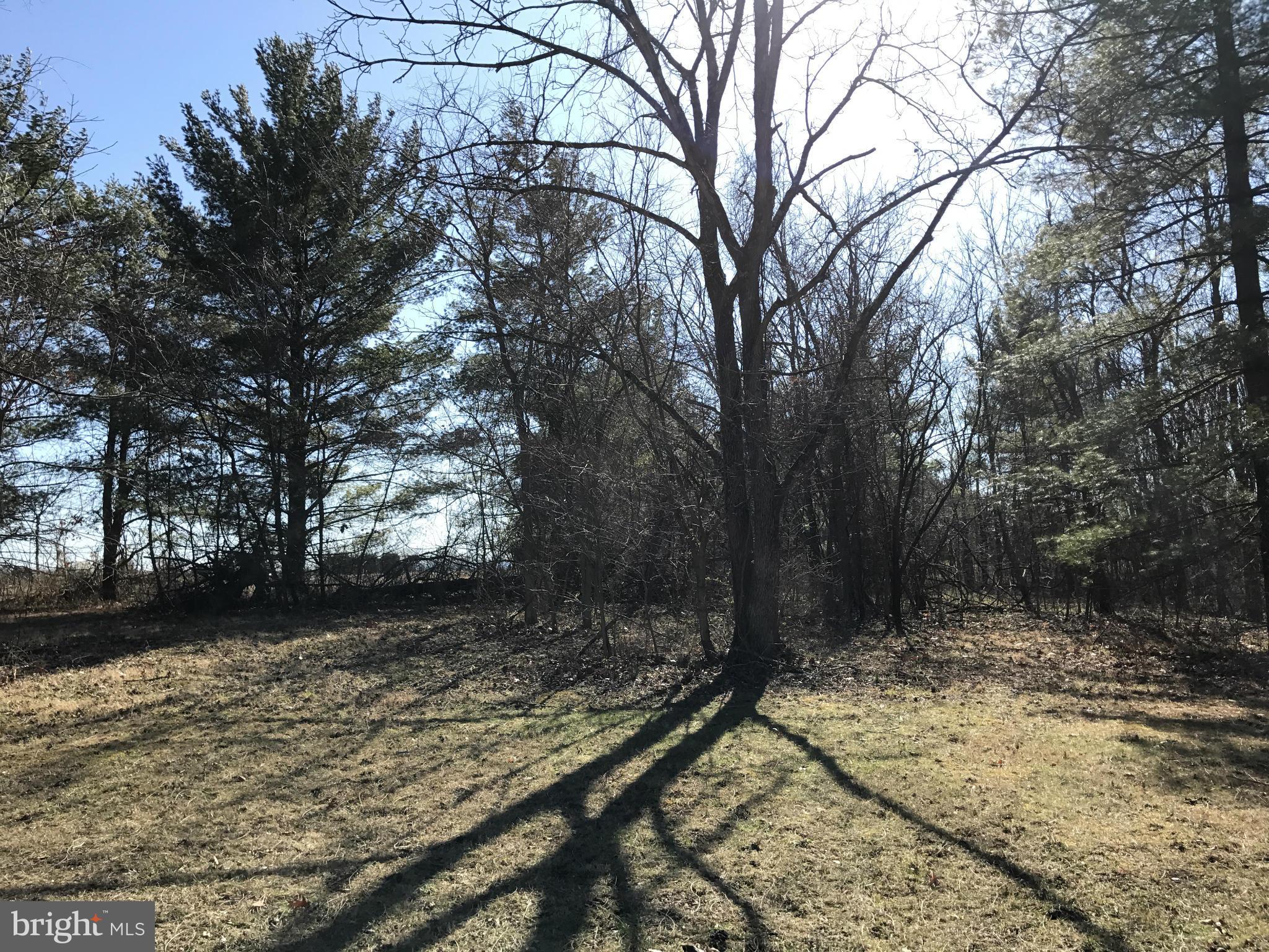 0 Cather Road Berryville, VA 22611 - Photo 8 of 25 Exterior (General)