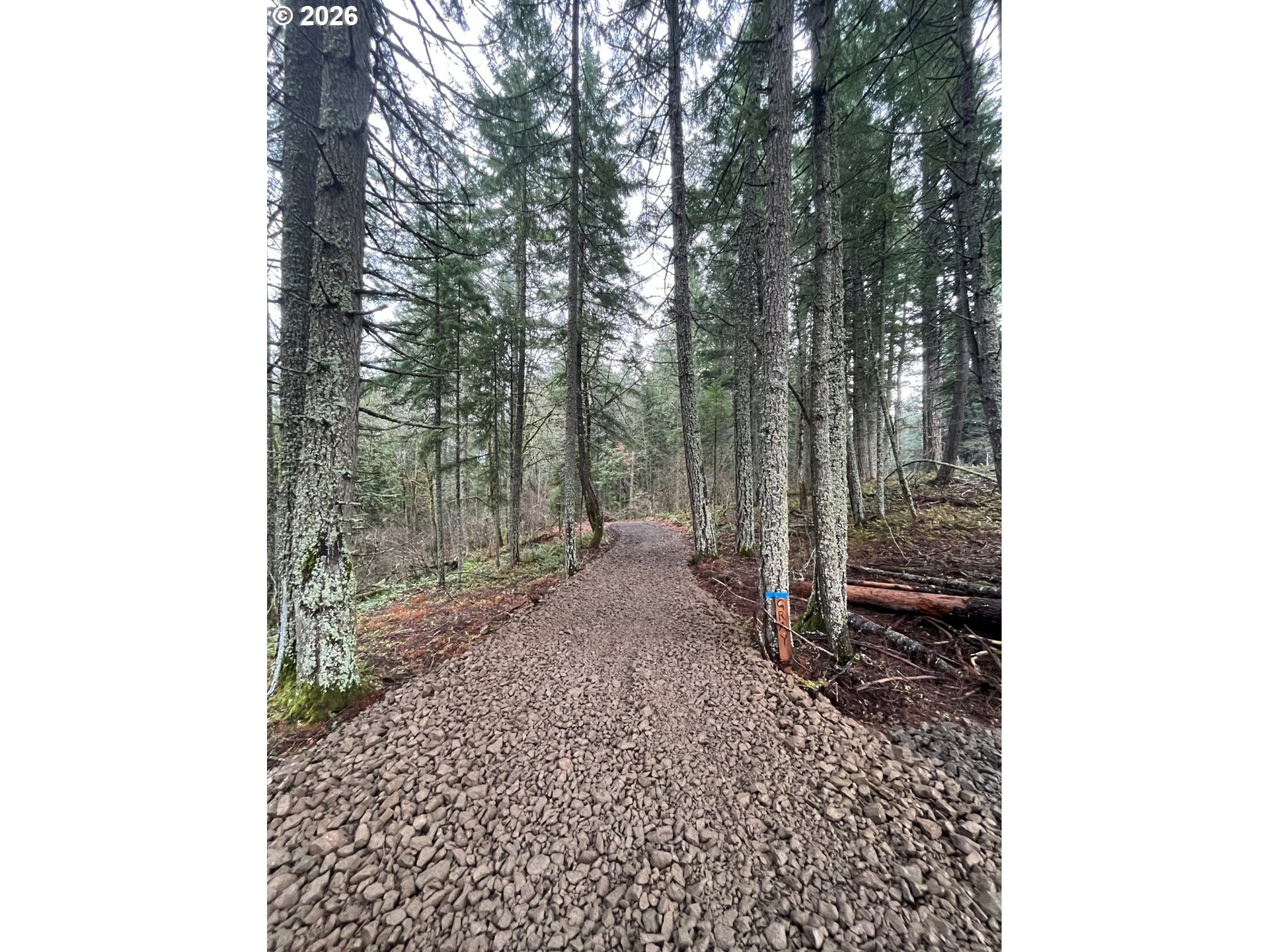 7091 Little Buck Creek Road White Salmon, WA 98672 - Photo 1 of 6