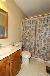 1796 Smizer Mill Road Fenton, MO 63026 - Photo 19 of 32 Gallery Image 19
