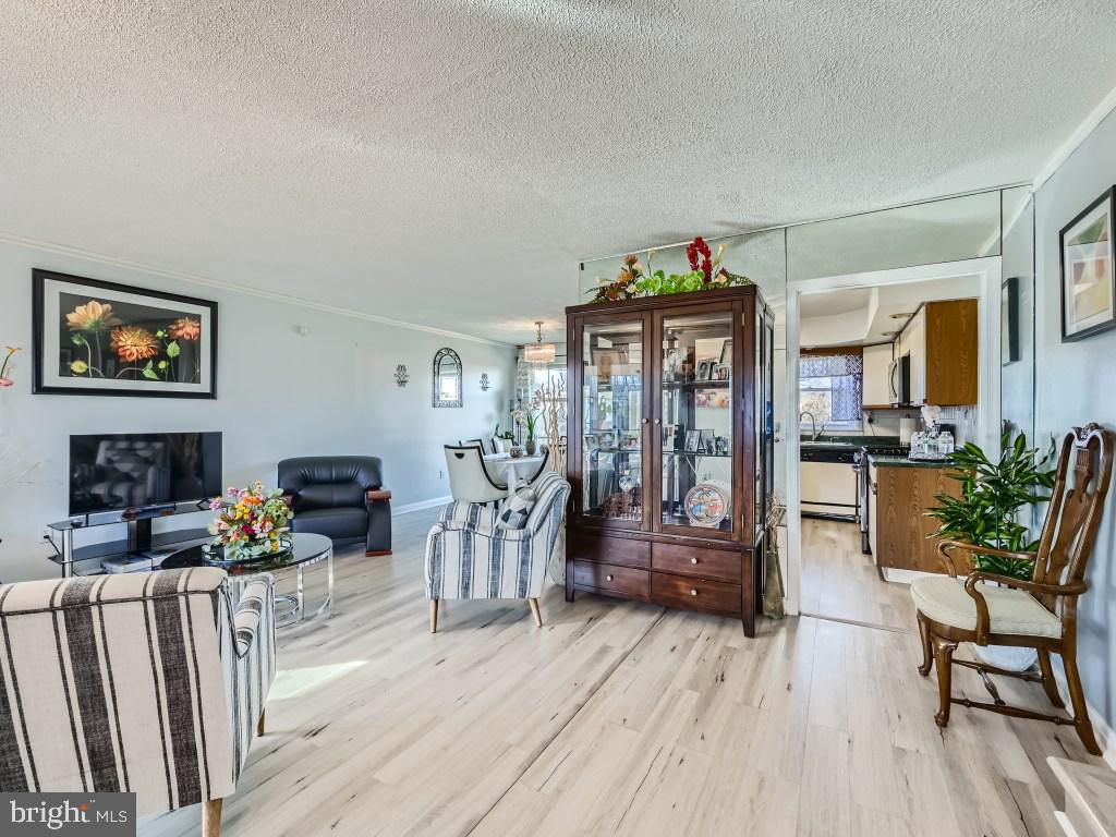 3416 Ripple Road Windsor Mill, MD 21244 - Photo 8 of 28 Living Room- view in to Kitchen