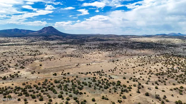 a view of a large building with a mountain in the background