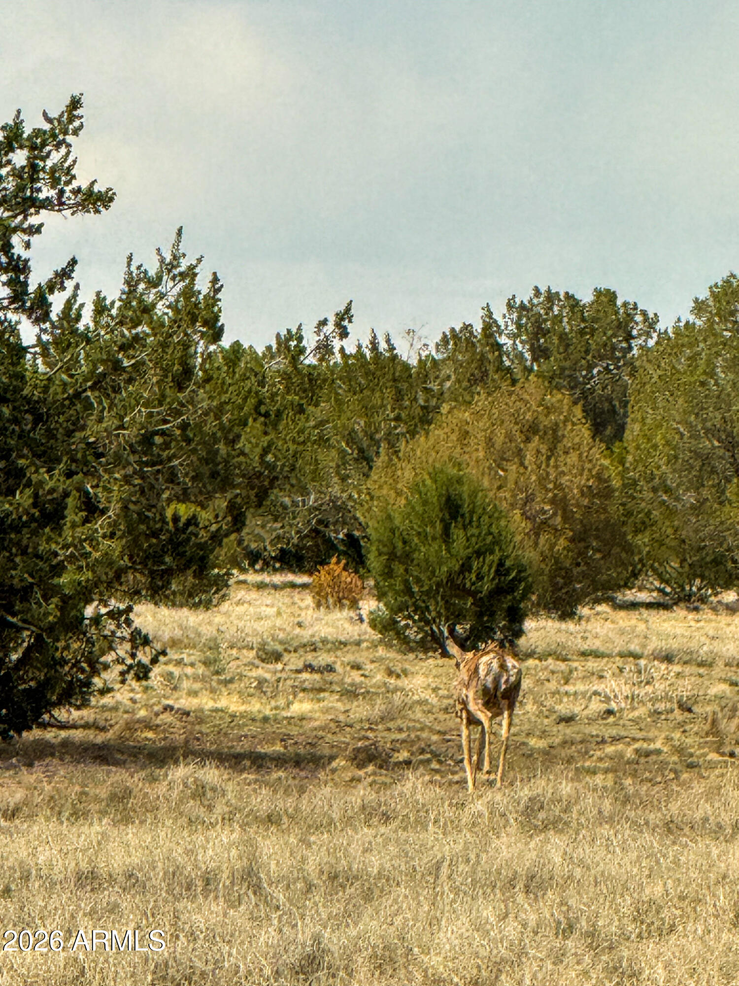 0 West Mile High Road, Unit 84 Ash Fork, AZ 86320 - Photo 27 of 27 a view of ocean view