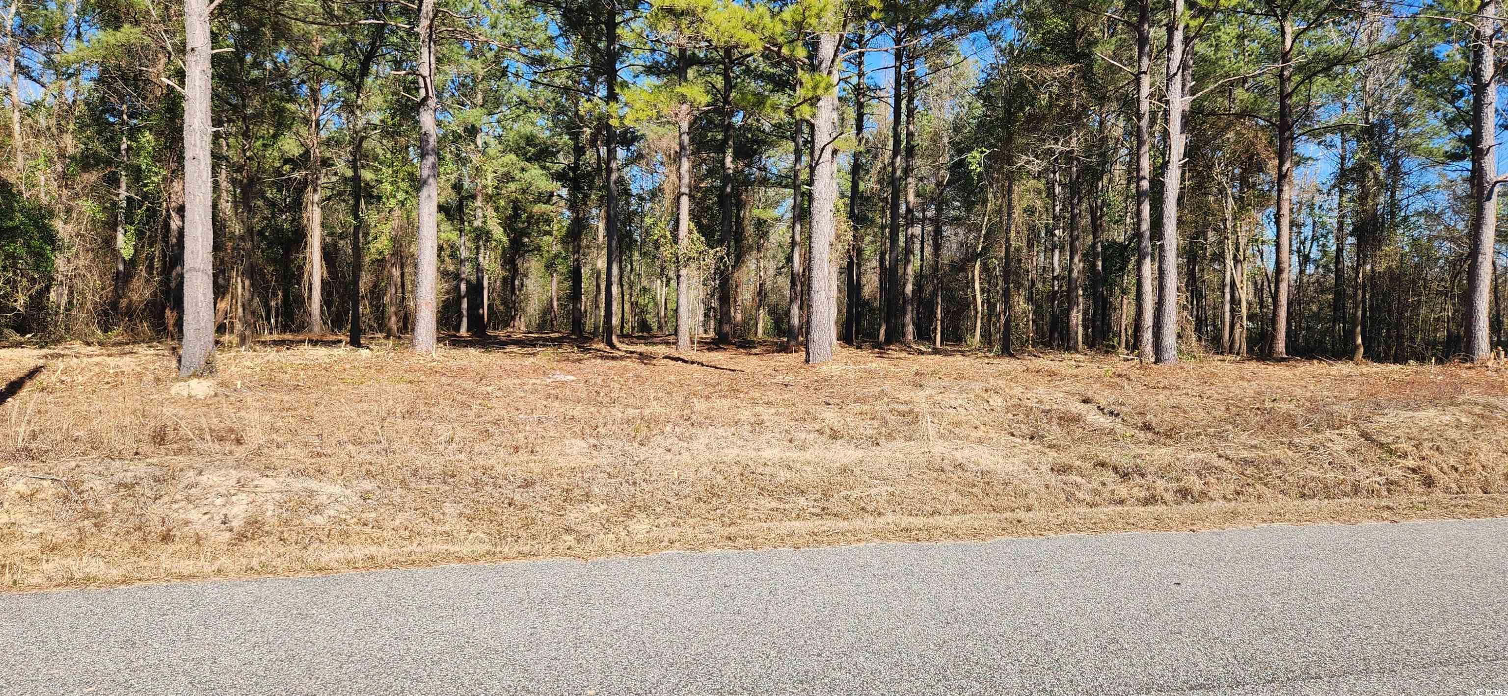 2759 Hagan Road Loris, SC 29569 - Photo 3 of 4 View of landscape