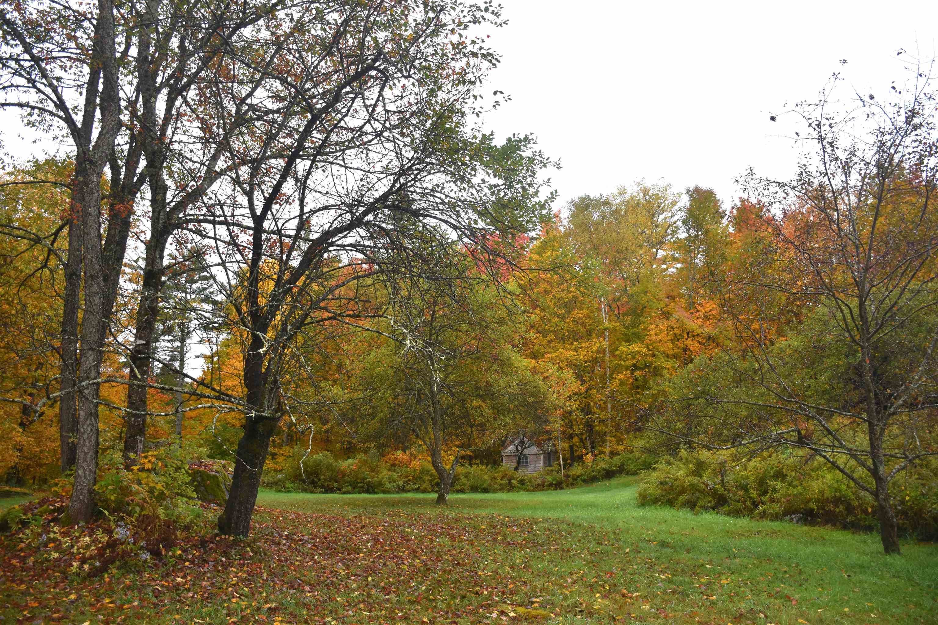120 Darling Road Marshfield, VT 05658 - Photo 55 of 60