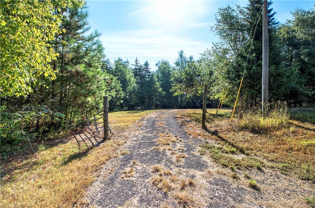 0 Cornelius Road Cedartown, GA 30125 - Photo 16 of 43