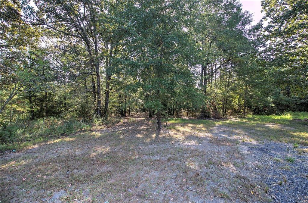 0 Cornelius Road Cedartown, GA 30125 - Photo 17 of 43