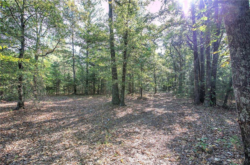 0 Cornelius Road Cedartown, GA 30125 - Photo 18 of 43