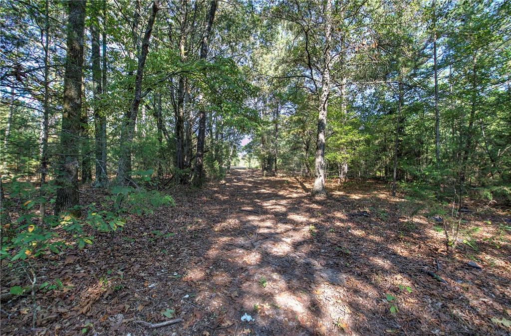 0 Cornelius Road Cedartown, GA 30125 - Photo 19 of 43