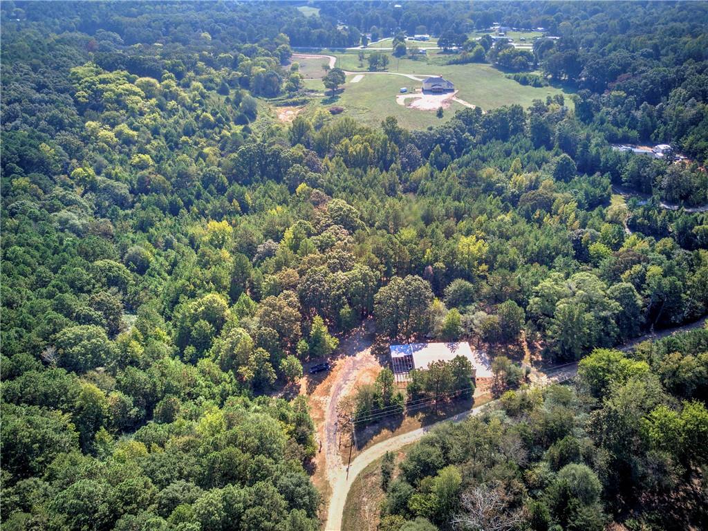 0 Cornelius Road Cedartown, GA 30125 - Photo 28 of 43