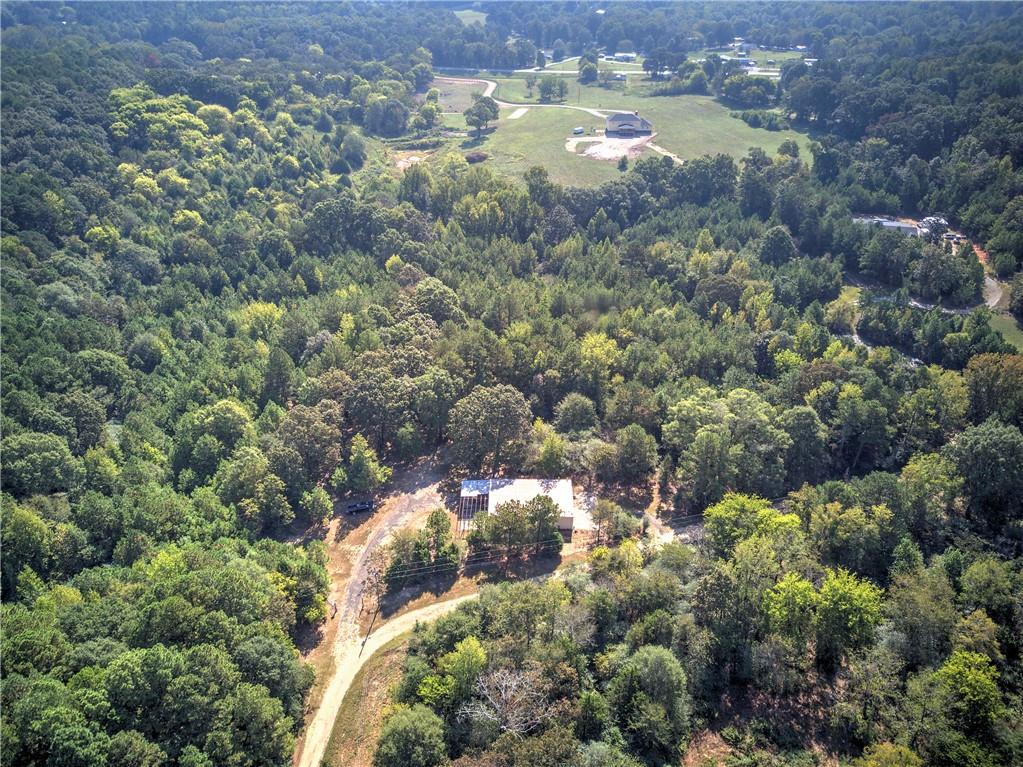 0 Cornelius Road Cedartown, GA 30125 - Photo 29 of 43