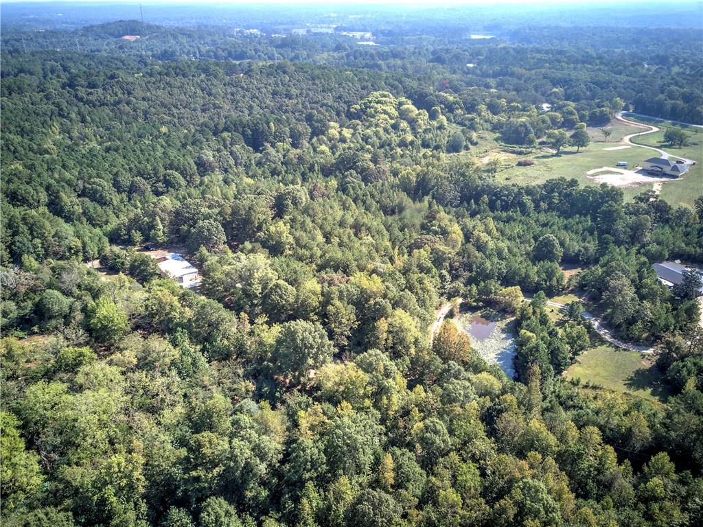 0 Cornelius Road Cedartown, GA 30125 - Photo 32 of 43
