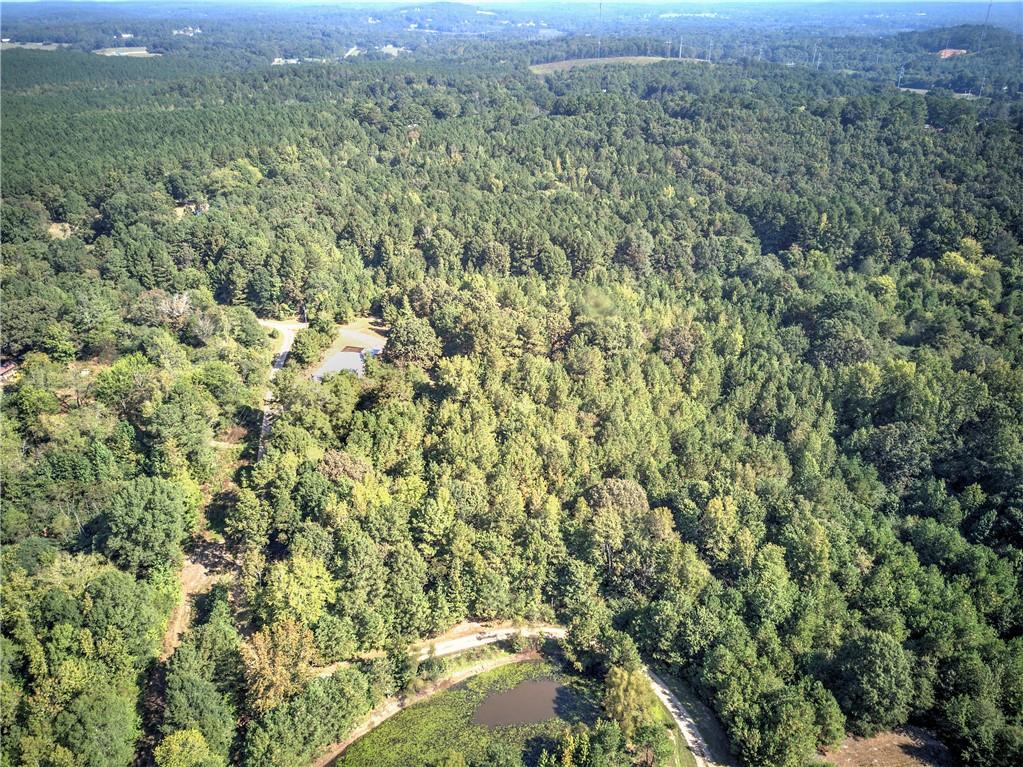 0 Cornelius Road Cedartown, GA 30125 - Photo 34 of 43