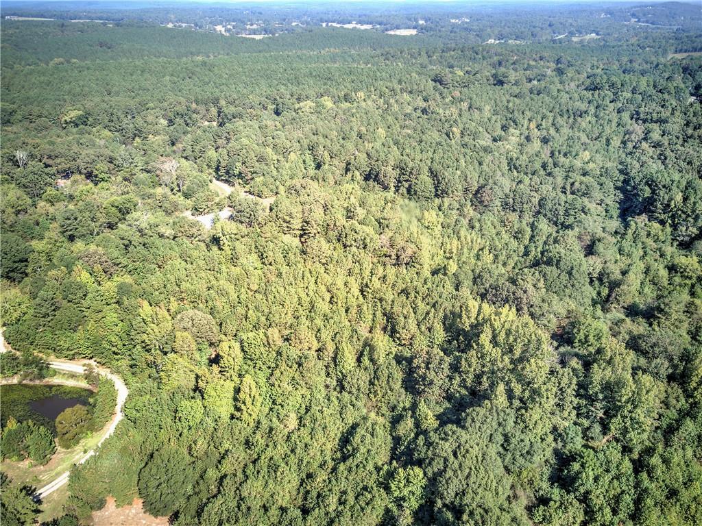 0 Cornelius Road Cedartown, GA 30125 - Photo 35 of 43