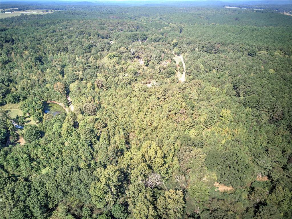 0 Cornelius Road Cedartown, GA 30125 - Photo 36 of 43