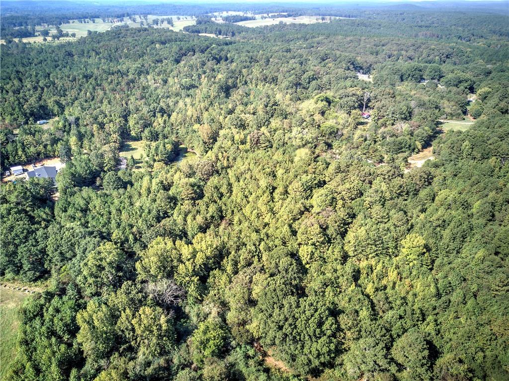 0 Cornelius Road Cedartown, GA 30125 - Photo 37 of 43