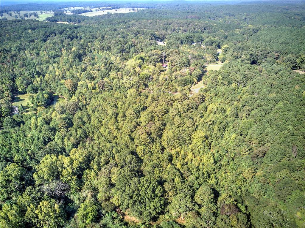 0 Cornelius Road Cedartown, GA 30125 - Photo 38 of 43