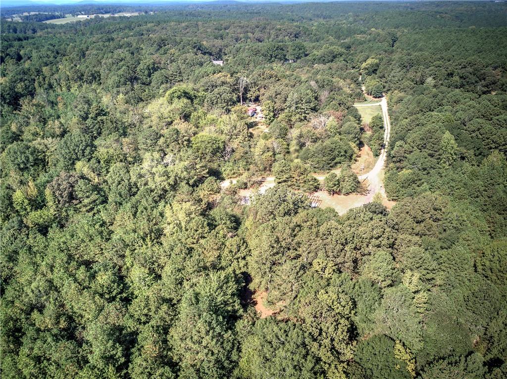0 Cornelius Road Cedartown, GA 30125 - Photo 39 of 43