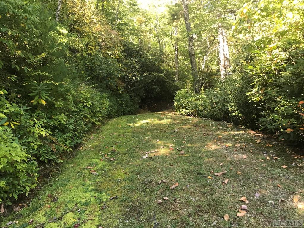 L 23-rev Sapphire Ridge Road Sapphire, NC 28774 - Photo 5 of 25 Gallery Image 5