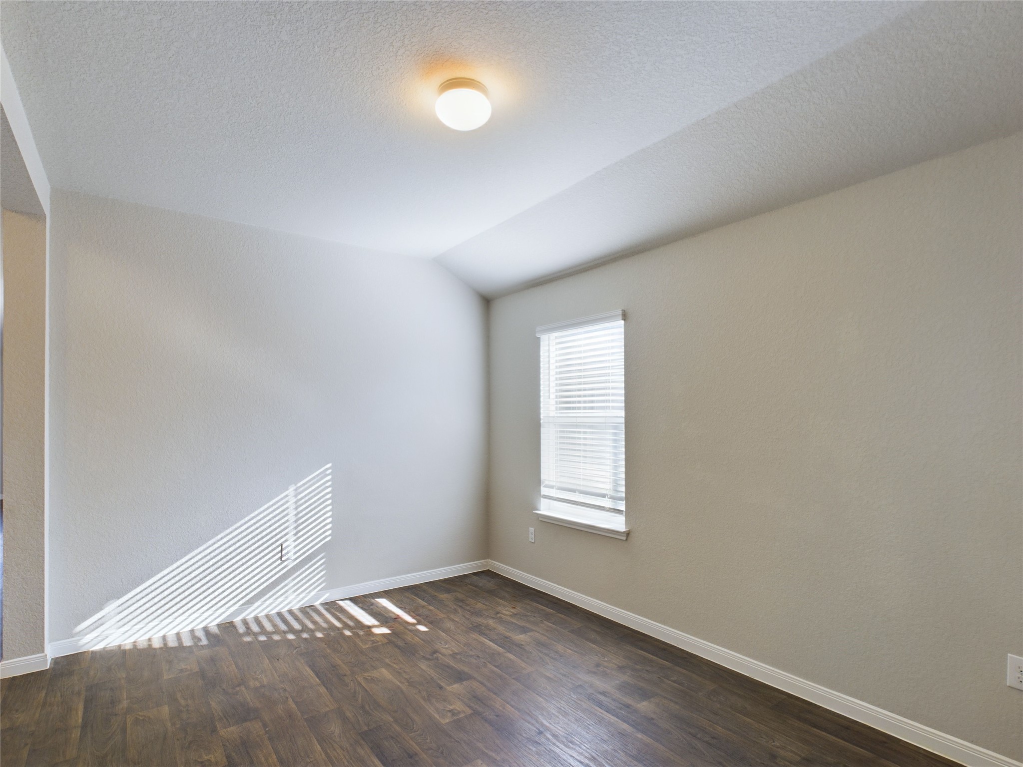 114 Cranbrook Lane Hutto, TX 78634 - Photo 31 of 38 Spare room featuring a textured ceiling, dark hardwood / wood-style flooring, and lofted ceiling