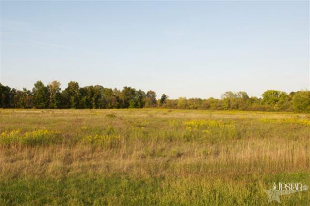 16807 Zubrick Road Roanoke, IN 46783 - Photo 5 of 24 Gallery Image 5
