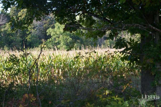 16807 Zubrick Road Roanoke, IN 46783 - Photo 8 of 24 Gallery Image 8