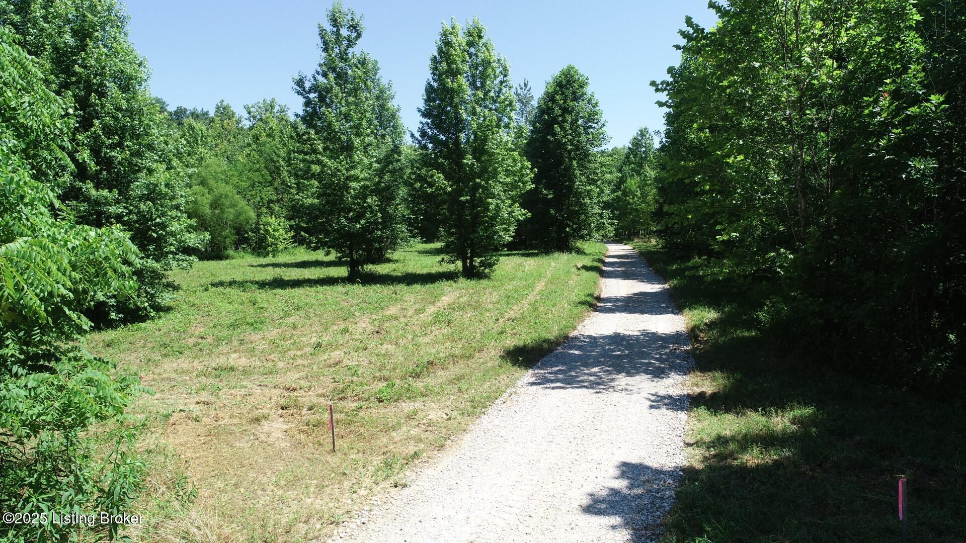880 Round Btm Road Magnolia, KY 42757 - Photo 10 of 12 DJI_0073 (Large)
