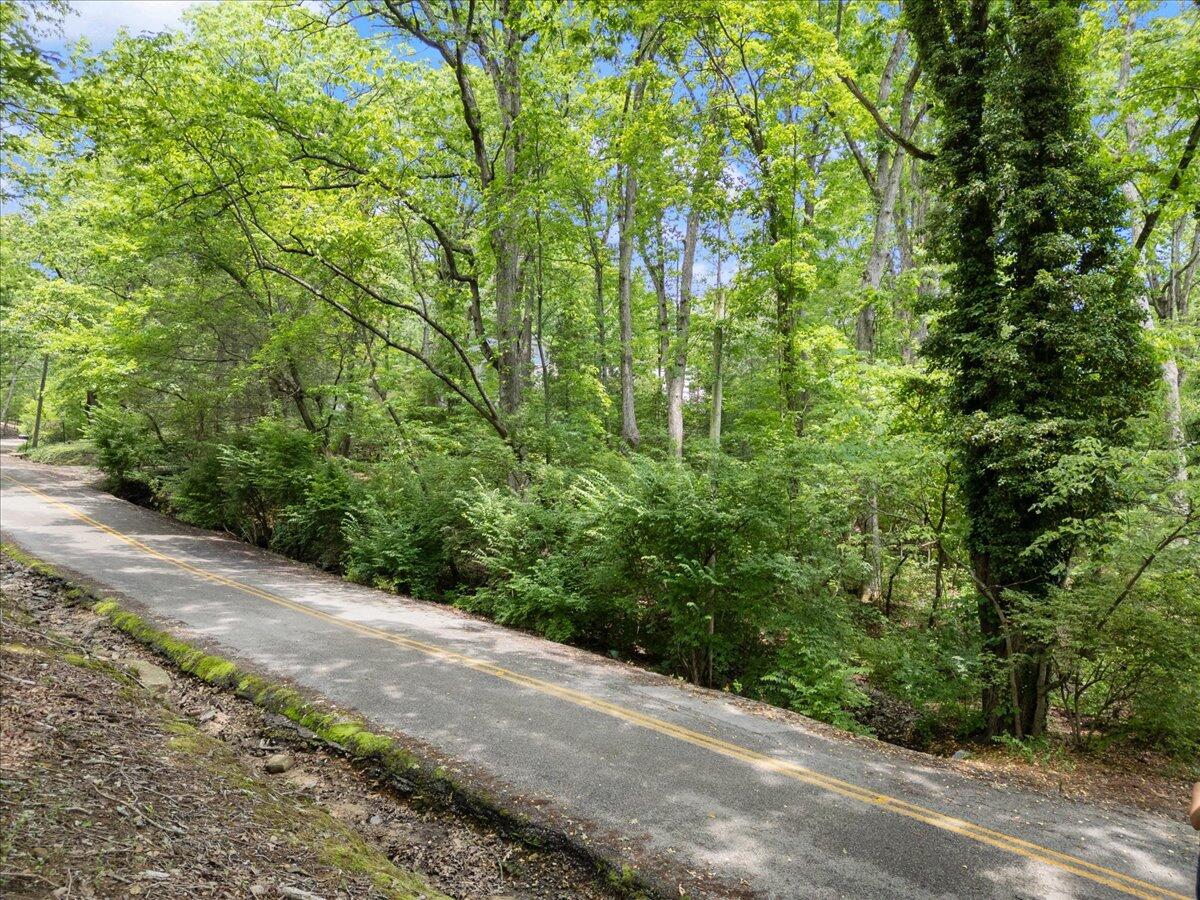307 Park Road Lookout Mountain, TN 37350 - Photo 12 of 17 18-307 Park Rd - 18