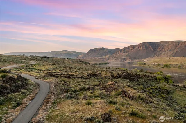a view of a lush green field with mountains in the background