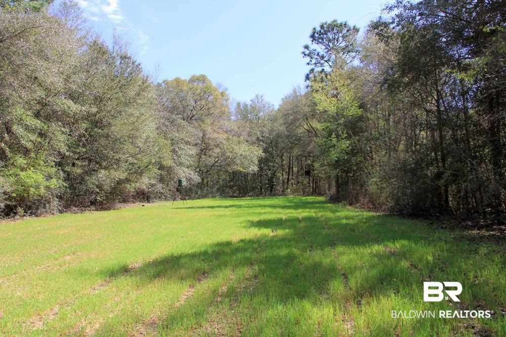 0 County Road 49 Loxley, AL 36551 - Photo 20 of 33