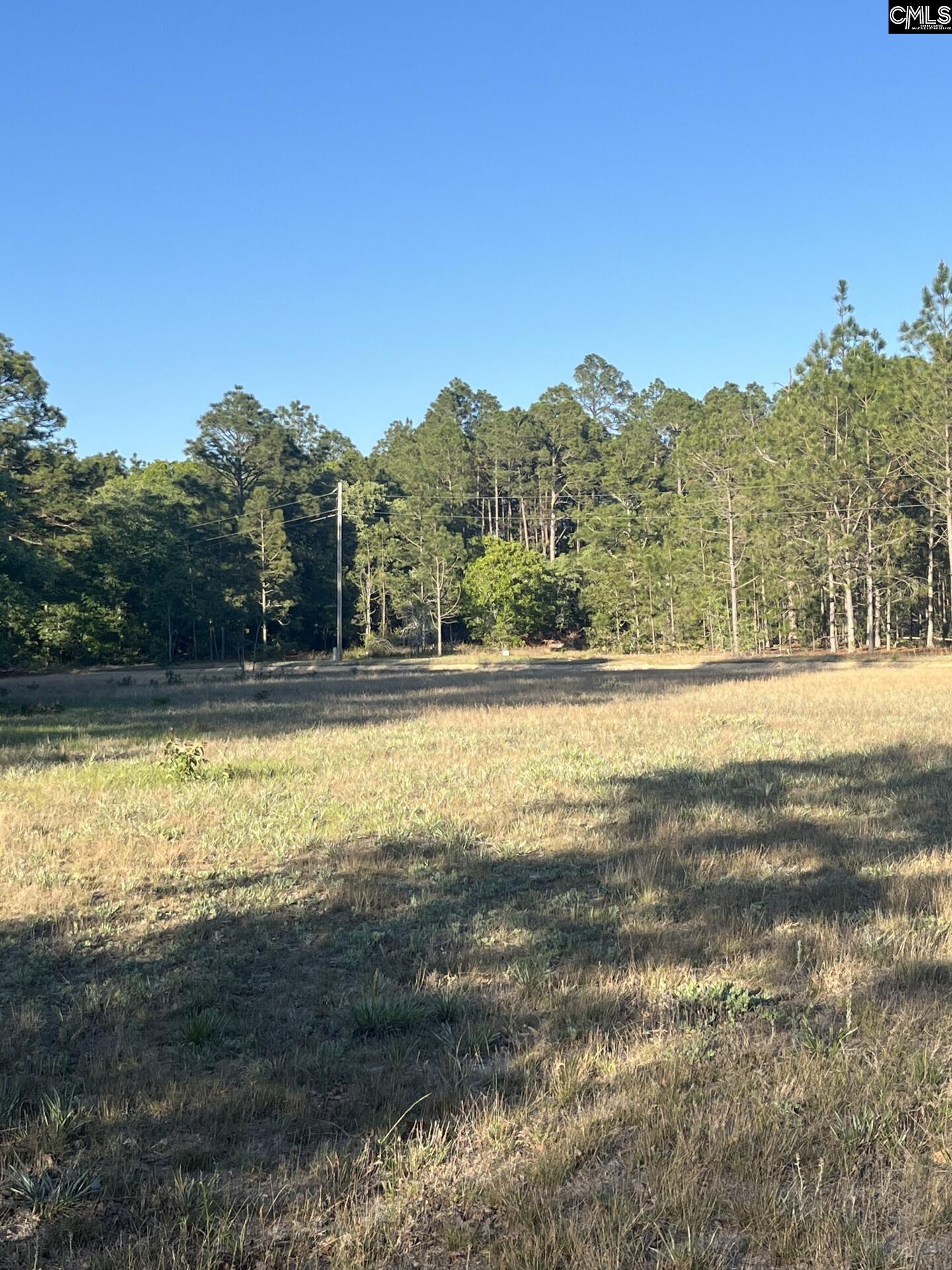 1860 Martin Smith Road Leesville, SC 29070 - Photo 3 of 16