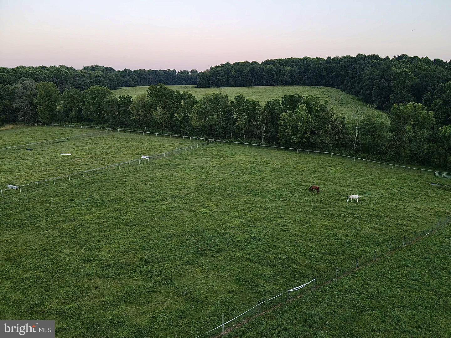 1861 Little Conestoga Road Elverson, PA 19520 - Photo 51 of 58 Pastures