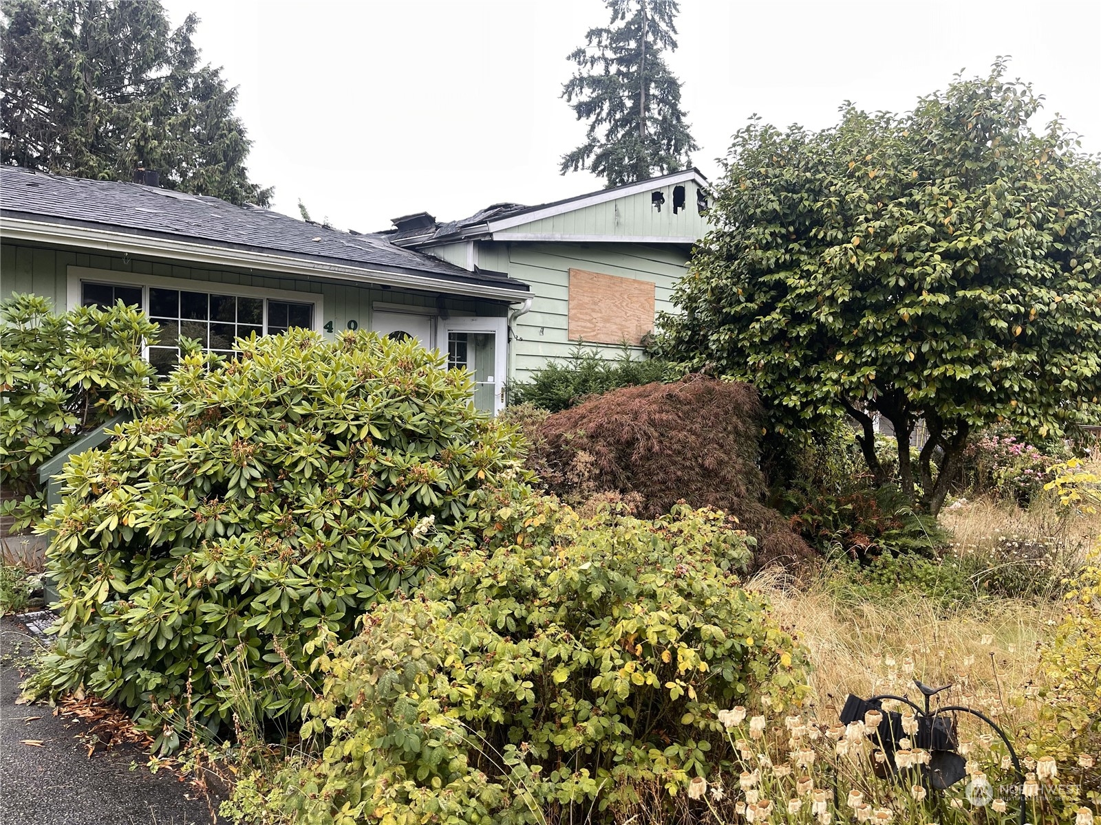 4902 241st Street Southwest Mountlake Terrace, WA 98043 - Photo 3 of 28 a view of a house with a flower garden