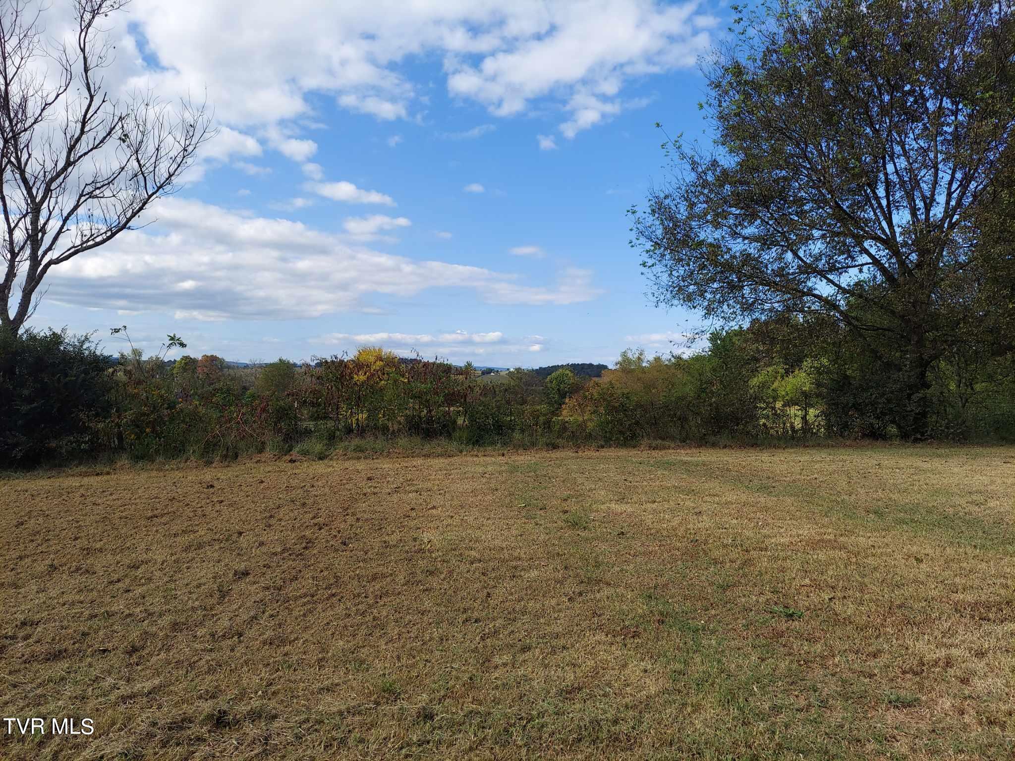 994 Lowery Loop Road New Market, TN 37820 - Photo 8 of 30 12